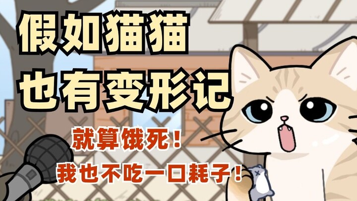 农村猫和城市猫的区别，真就那么大吗？