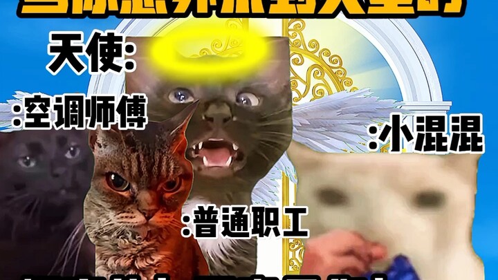 《猫meme小剧场》当你意外来到天堂时！