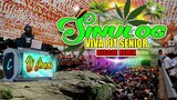Sinulog - Reggae Remix (VIVA PIT SENIOR) Dj Jhanzkie 2023