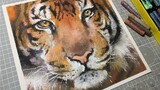 Oil pastel prosperous wealth is the authentic Changbai Mountain hanging eye white-fronted tiger