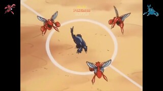 Scizor VS Heracross   Pokemon Adventure battle