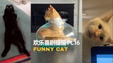 欢乐喜剧猫猫 Pt.16