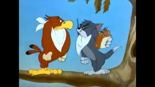 Tom and Jerry -   Flirty Birdy