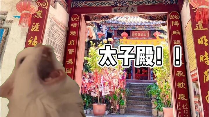 Cat meme丨Về việc cuối cùng cũng được đến Weibaoshan丨Thiên Quan Tứ Phúc Không có điều cấm kỵ