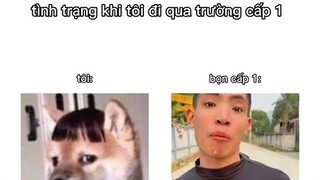 meme Vietnam Sigma Boy