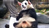 [Pandas] You Go With The Head And I Go With The Foot