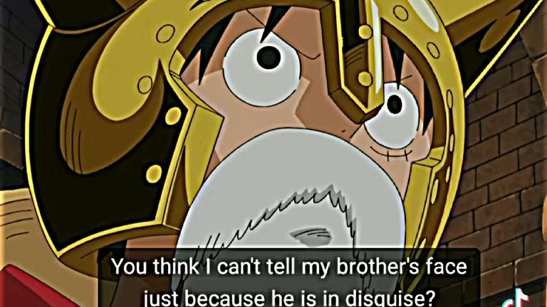 One Piece Dressrosa Arc Sabo And Luffy S Reunion Bilibili