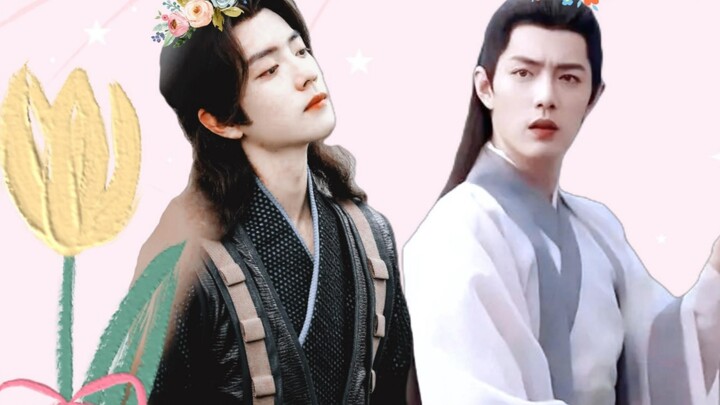 [Bawang Merah Xiao Zhan | [Penjaga yang Dimanjakan - Sanying] Satu episode telah selesai (San: Ying'