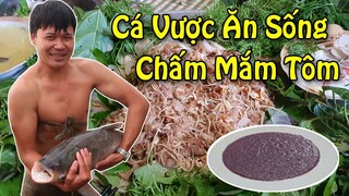 Thử Ăn Gỏi Cá Vược Sống Chấm Với Mắm Tôm Thối