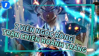 7 Viên Ngọc Rồng| Đã con mắt！Một trận chiến hoành tráng trong thế giới đấu tranh！！!_1