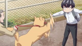 Thiên tài bóng đá nhưng mắc bệnh sạch sẽ của Levi _ Aoyama-kun _ Tóm Tắt Anime_p1