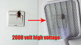 Dùng vợt diệt muỗi 2000v diệt gián là trải nghiệm thế nào?