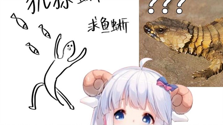 【Mutton Slices】What is an armadillo lizard?