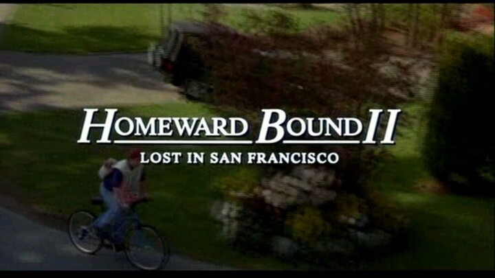 Homeward Bound 2: Lost in San Francisco