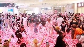 Have you seen the dance of petals? This song is very suitable for petals.