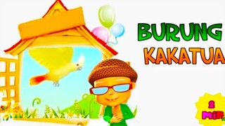 Burung Kakatua | Lagu Anak Indonesia Populer | Video Lagu Anak Anak Terpopuler | #BurungKakatua