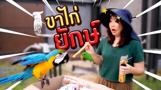 กล่องสุ่ม2! ขนมนกแก้ว ขาไก่ยักษ์!!!! EP.230