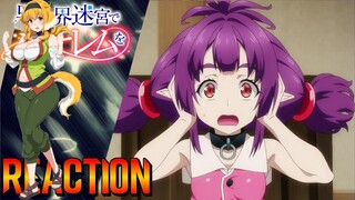 HAREM IN THE LABYRINTH OF ANOTHER WORLD EPISODE 11 REACTION