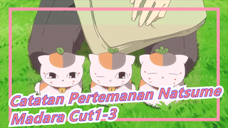 [Catatan Pertemanan Natsume]Madara Cut1-3