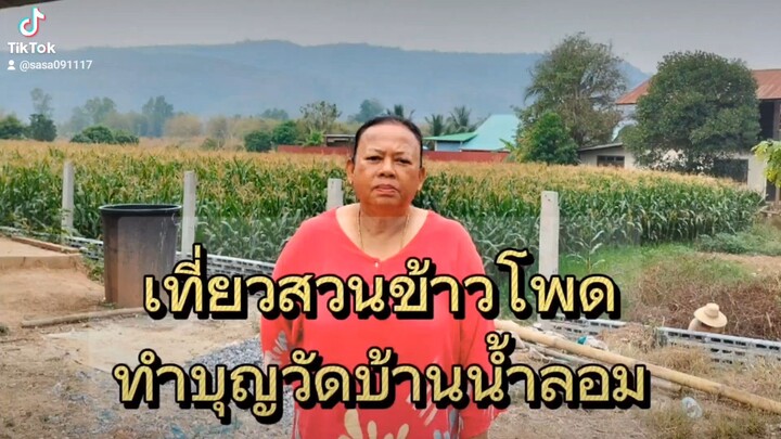 #เดินเล่นไร่ข้าวโพด ทำบุญ