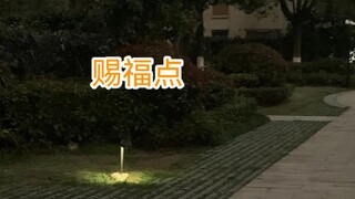 艾尔登法环后遗症