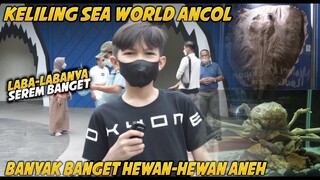 KELILING SEA WORLD ANCOL!! HEWAN-HEWANNYA ANEH DAN SEREM LAGI!!