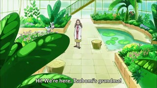 HeartCatch precure episode 17