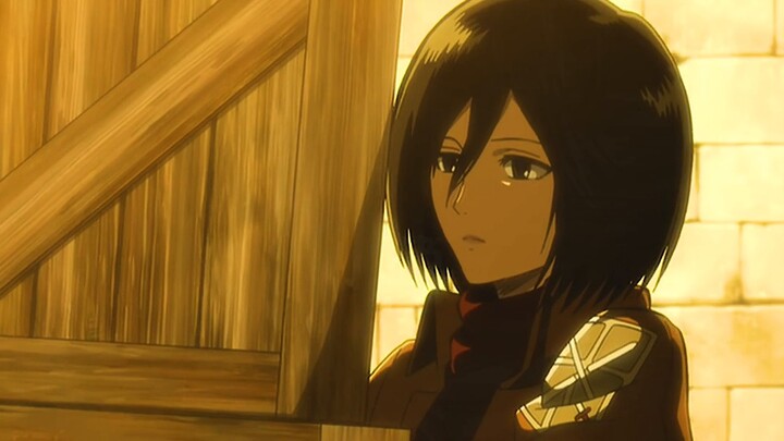 Taking stock of Mikasa’s outrageous operations, confronting the dwarf called the soldier commander, 