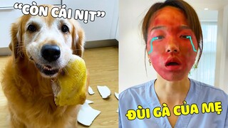 Đại Trang | Khi MaMa Lươn Lẹo Gặp ĐẠI TRANG Tinh Quái và cái kết 🤣 Gâu Đần Official