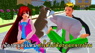 เมื่อน้องหมูตัวใหม่ทำให้โบ้เสียใจจนต้องหนีออกจากบ้าน - Dog Leave House