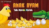 Tek Kotek Kotek | Anak Ayam | Lagu Anak Indonesia Populer | #AnakAyam