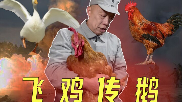 “飞 鸡 传 书"  "以 鹅 传 讹"