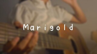 マリーゴールド (Marigold) Aimyon 歌ってみた Cover Akariinりん