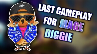 MY LAST MAGE DIGGIE BEFORE REVAMP