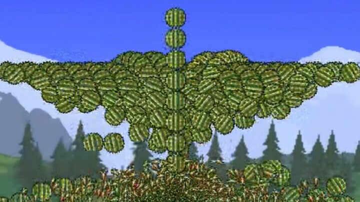 kaktus gila