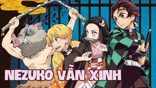 Tổ đội ngốc nghếch được thành lập để chống lại huyết quỷ | Recap Xàm #199: Kimetsu No Yaiba 8-14