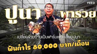 เลี้ยงปูนาในบ่อปูนข้างบ้าน ป.ปูนาฟาร์ม  ฟันรายได้ 80,000 บาท/เดือน : FEED