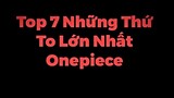 One Piece - Top 7 Những Thứ To Lớn Nhất Trong One Piece