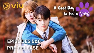 A Good Day to be a Dog Episodes 5&6 Spoilers & Pre-Release| Cha Eun Woo, Park Gyu Young