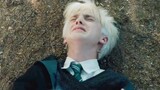 [HP/Draco] Tuan Muda Lucu Online Terengah-engah