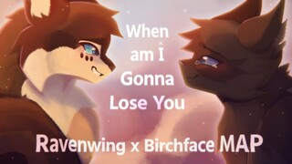 WHEN AM I GONNA LOSE YOU | COMPLETE RavenxBirch AU Warriors MAProject (TW/desc)