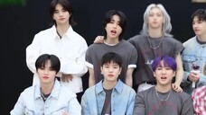 【Teks Mandarin Acak】 240807 Video Panduan Stray Kids “JJAM” (Feat. STAY) Subtitle Mandarin