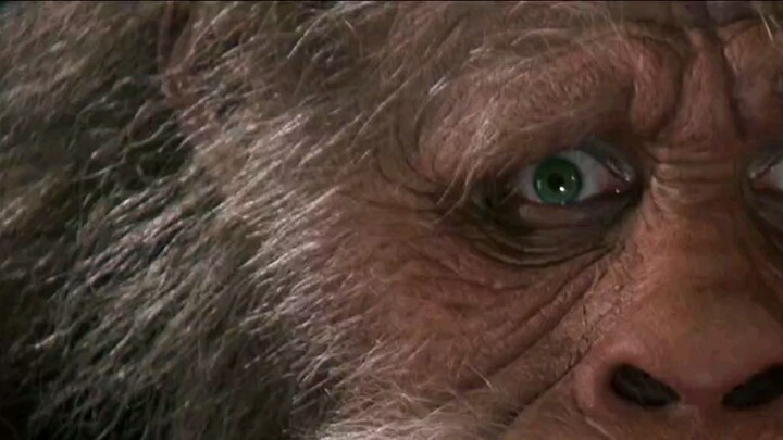 Harry and the Hendersons