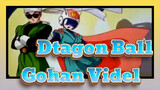 [Dtagon Ball] Gohan&Videl--- In the Name of Love