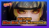 NATURO|【Harmonica】OP -Blue Bird