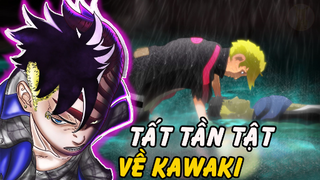 Sức Mạnh Của Kawaki Đối Thủ Của Boruto | Tiểu Sử Quá Khứ Cậu Bé Thuộc Tổ Chức Kara