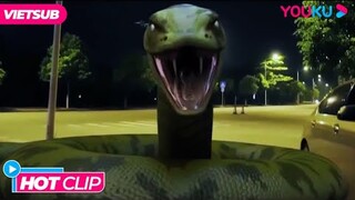 HOT CLIP | Mãng Xà Tấn Công - Rắn Khổng Lồ Nổi Loạn Tấn Công Con Người | Phim Lẻ YOUKU