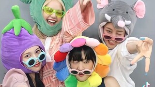 new BLACKPINK