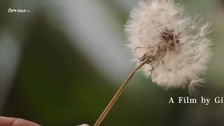 9 Viên Đạn Full Movie [Sub Việt]