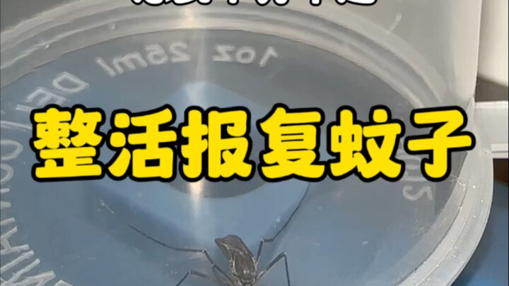有趣